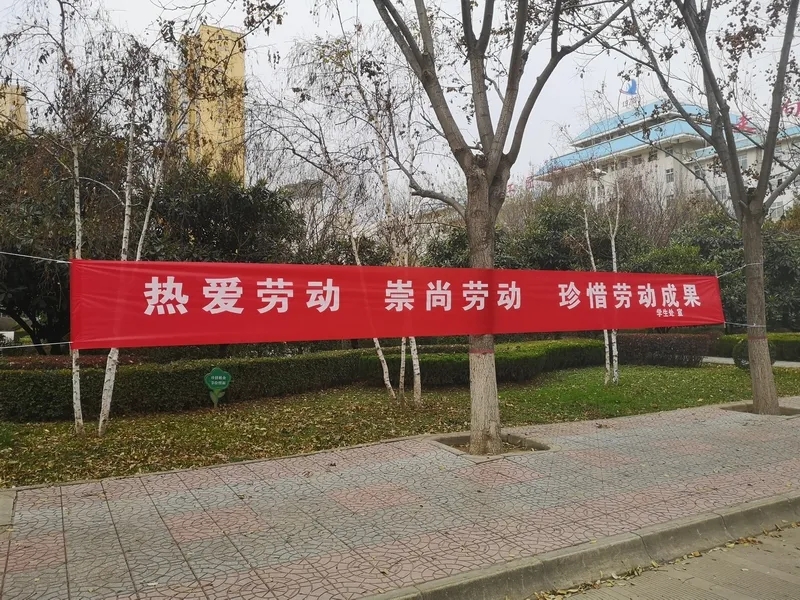 20211207_184324_009.jpg 20211207_184324_009.jpg