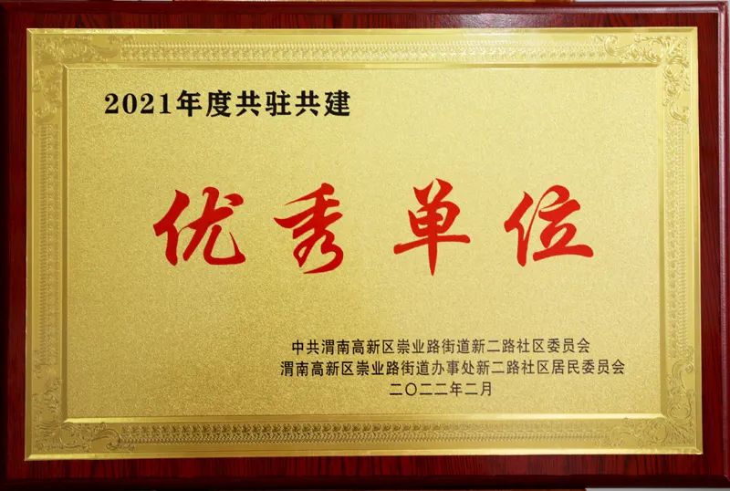 20220307_213625_012.jpg 20220307_213625_012.jpg