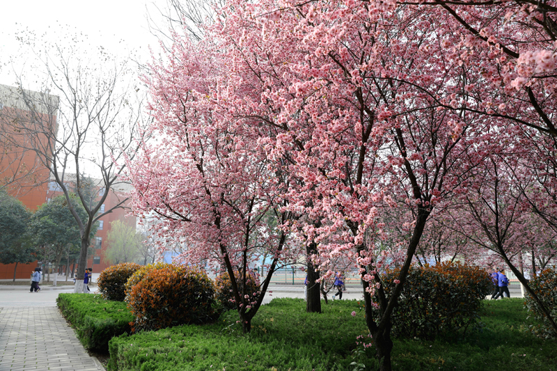 9N1A6429.JPG 9N1A6429.JPG