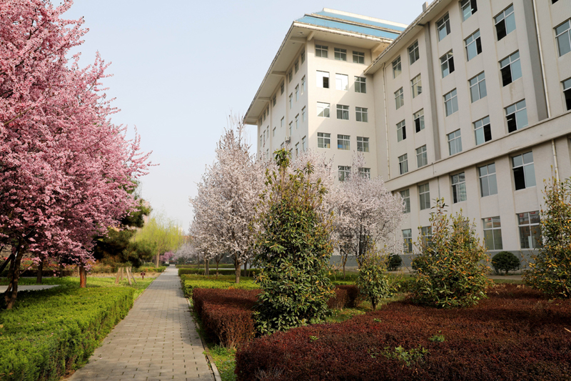 9N1A6432.JPG 9N1A6432.JPG