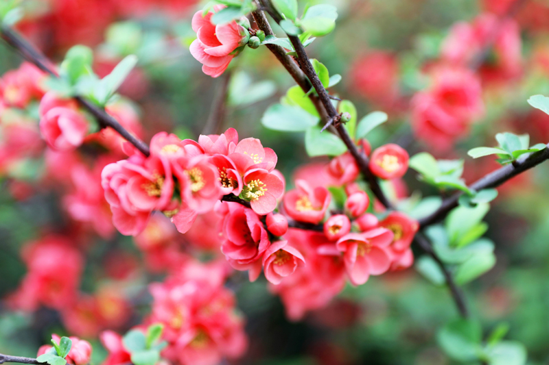 9N1A7459.JPG 9N1A7459.JPG