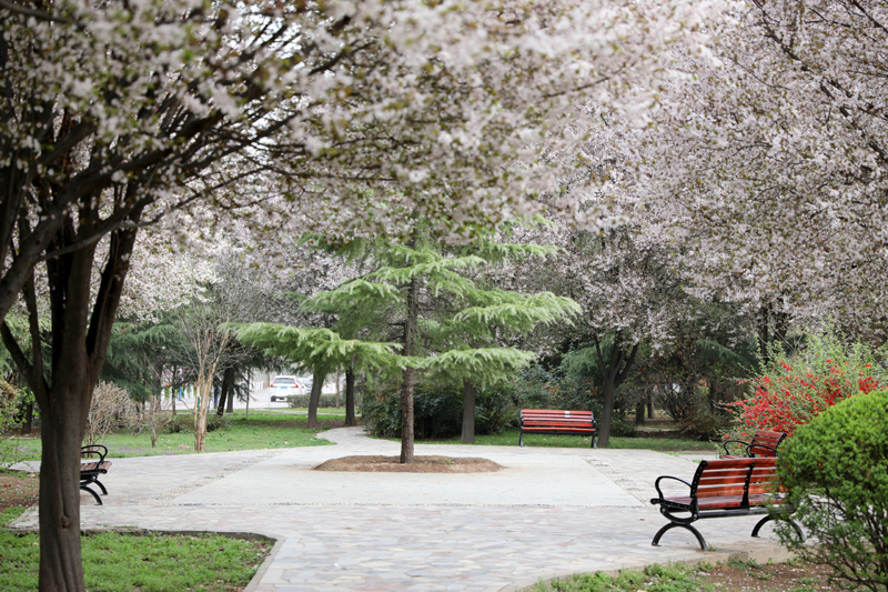 9N1A7469.JPG 9N1A7469.JPG