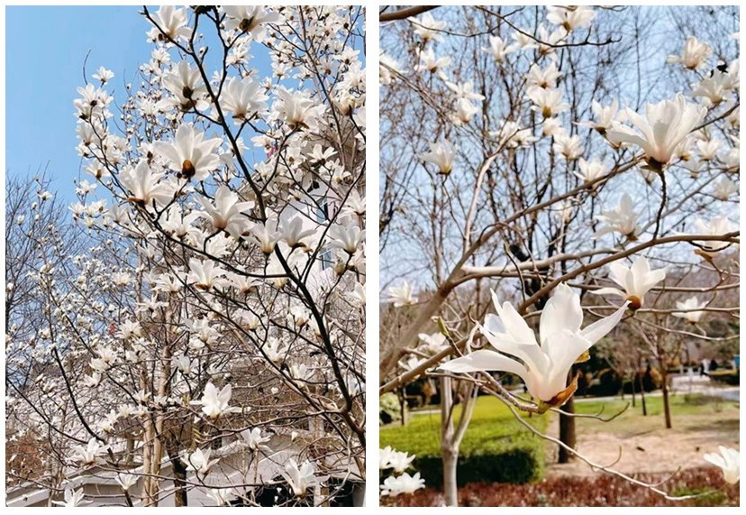 initpintu_副本.jpg initpintu_副本.jpg