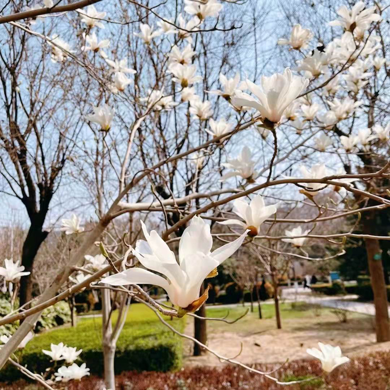 微信圖片_20220320100101.jpg 微信圖片_20220320100101.jpg