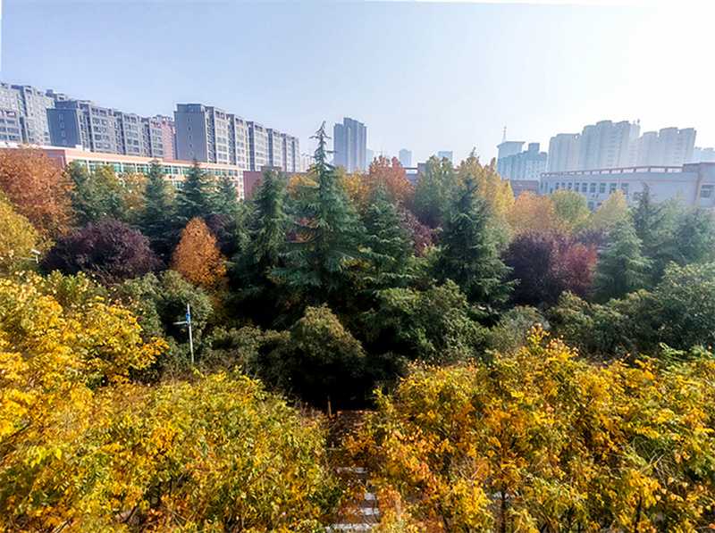 dajing_副本.jpg dajing_副本.jpg