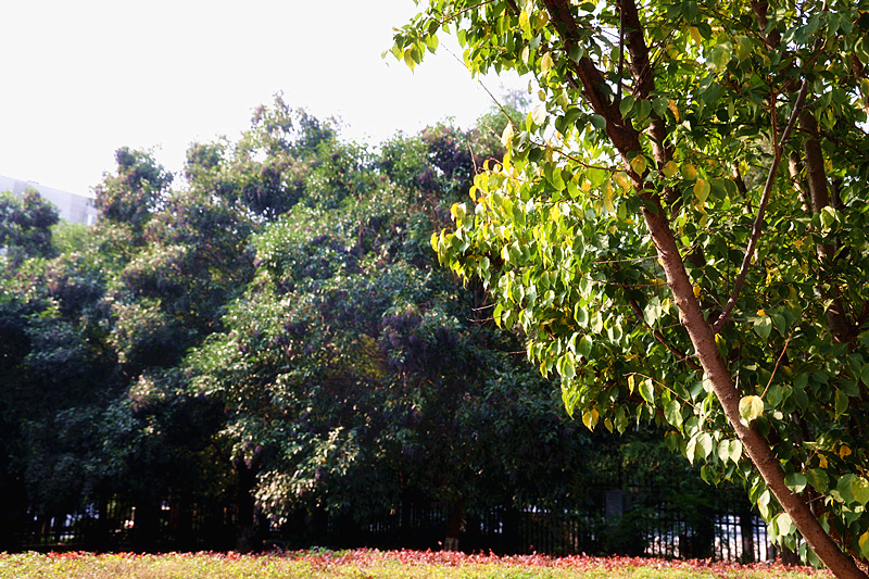 0K9A2627_副本.jpg 0K9A2627_副本.jpg