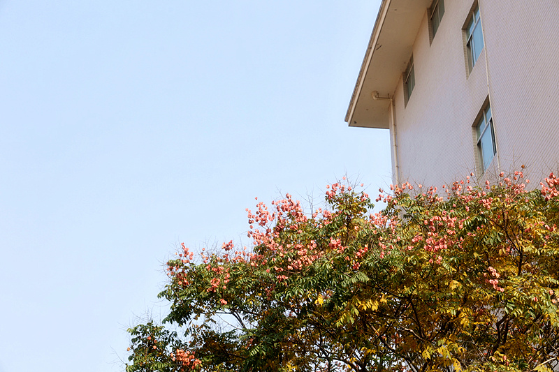 0K9A2670_副本.jpg 0K9A2670_副本.jpg