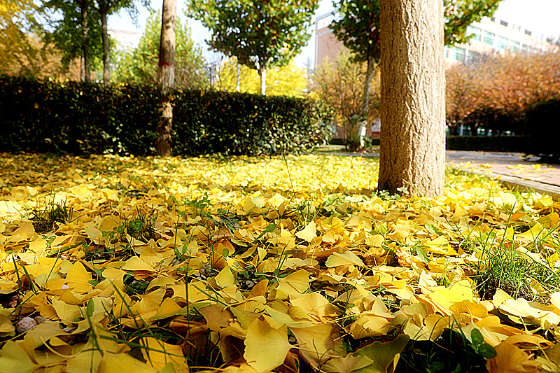 9N1A2213_副本.jpg 9N1A2213_副本.jpg